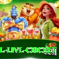 bpl live cricket - Live Mega