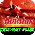 cricket bat Turbo v4.9.5