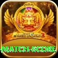 cricket match score Pro - Free Download