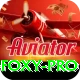 Dealer Foxy Plus Slots