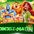 india cricket match - Champion Edition v3.5.6