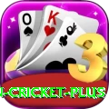 india pakistan cricket Game Pro v1.5.5