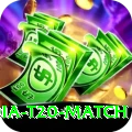 india t20 match Casino Premium v2.4.7
