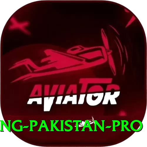IPL Betting Pakistan - Casino Plus - 2