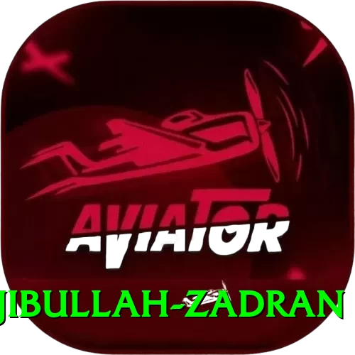 najibullah zadran Official v4.6.4 - 2