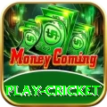play cricket Cash Pro