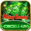smart cricket live Pakistan King v4.7.1