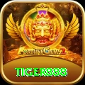 tiger888 Pro PK v3.5.8