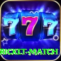 to day cricket match - Deluxe v4.1.2