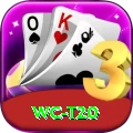 wc t20 Master PK v1.0.6