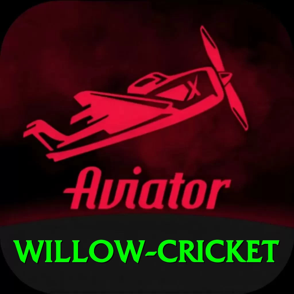 willow cricket Gaming Prime - 2